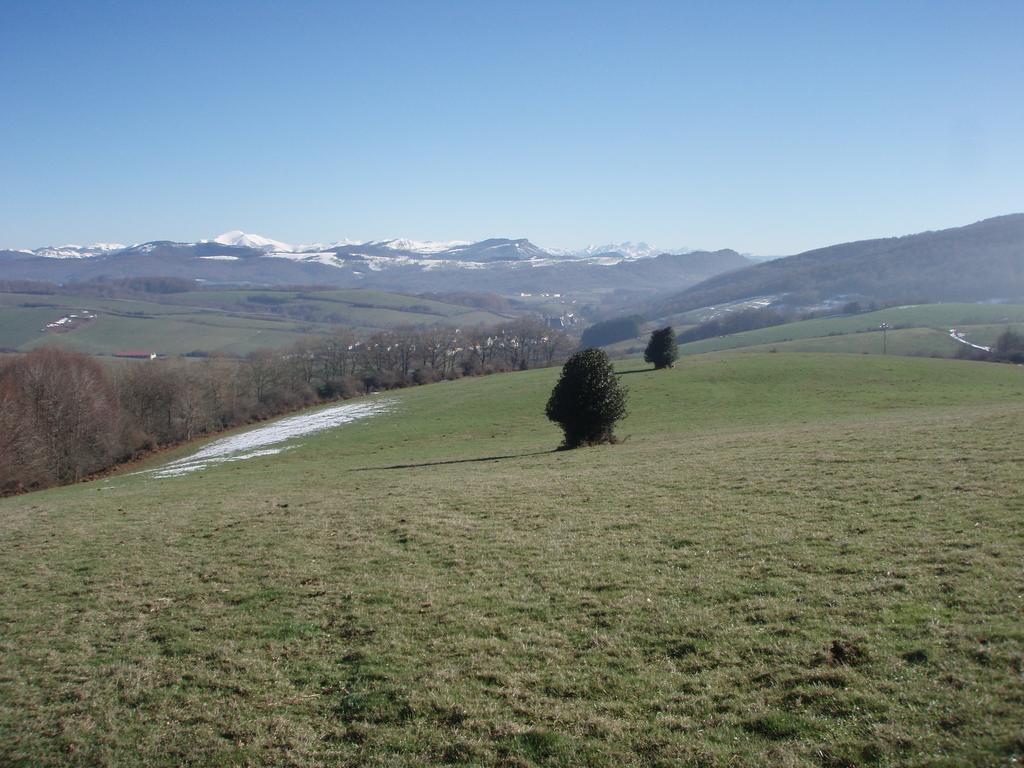 Casa Rural Irugoienea Espinal-Auzperri Exterior photo